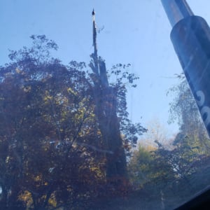 View from inside a crane showing the crane's arm extending upward amidst trees, highlighting Kraneworks' crane services in action.
