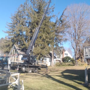 Crane positioned in residential area, lifting equipment amidst trees and houses, showcasing Kraneworks crane services in action.